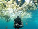 Potáp nafotil moe plné plastových odpadk u pobeí indonéského turistického...