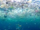 Potápěč nafotil moře plné plastových odpadků u pobřeží indonéského turistického...