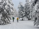 Trasa pes Malý Jezerník a Výrovku je oblíbená mezi skialpinisty.
