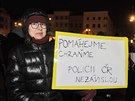 Demonstrace proti Zdeku Ondrákovi v ele komise pro kontrolu GIBS v Jihlav.