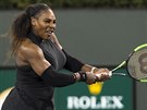 Serena Williamsová na turnaji v Indian Wells