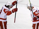 Martin Frk (vpravo) a Tyler Bertuzzi oslavují gól Detroitu.