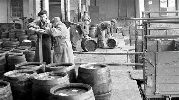 Pivovarští dělníci, takzvaní kuliči, nakládají na rampě v plzeňském Prazdroji sudy na korby náklaďáků. (prosinec 1953)