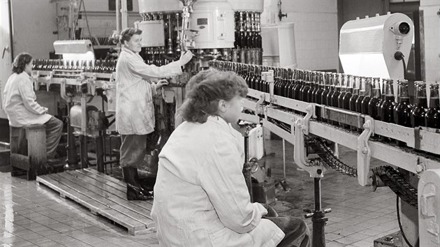 Lahvovna plzeskho Prazdroje v prosinci 1953. Modern stroj, kter obsluhovaly pevn eny, dokzal naplnit pt tisc pllitrovch lahv za hodinu.