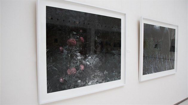 Výstava fotografií Pavla Brunclíka v Mánesu
