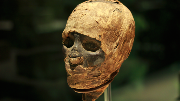 Mumifikovan hlava  z vstavy Mumie v esku na praskm Vstaviti, kter potrv do 30. ervna.