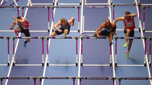 Sedmibojai nad pekkami. Zleva Dominik Distelberger z Rakouska, Kevin Mayer z Francie, Kanaan Damian Warner a ech Jan Doleal.