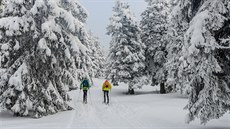 Trasa přes Malý Jezerník a Výrovku je oblíbená mezi skialpinisty.