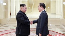 Severokorejský vdce Kim ong-un pijal delegaci z Jiní Koreje (5. bezna...
