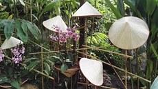 Orchideje ve Fata Morgan�