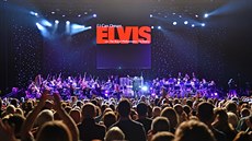 Ze show Elvis  Live on Screen