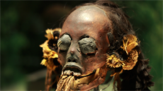 Mumifikovaná trofejní hlava z výstavy Mumie v esku na praském Výstaviti,...