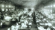 Španělská chřipka zabila víc lidí než 1. světová válka