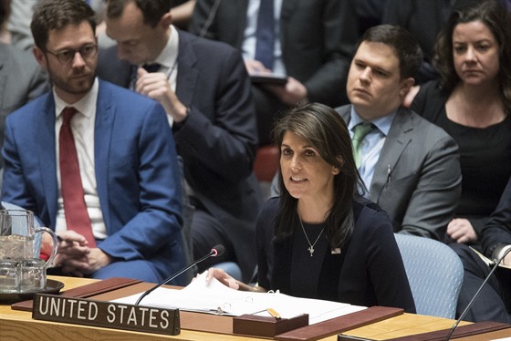 Velvyslankyně Spojených států Nikki Haleyová hovoří na jednání Rady bezpečnosti...