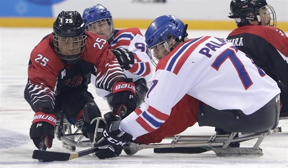 Český sledge hokejista David Palát a Japonec  Ejdži Misawa v souboji o puk.