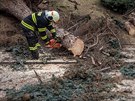 Hasii v Novém Mst nad Metují vyjídli k popadanému stromu u nádraí (17....