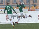 Jablonecký Martin Doleal (vpravo) slaví gól do sít Jihlavy se spoluhráem...