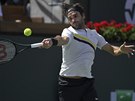výcarský tenista Roger Federer zamuje svj forhend v semifinále turnaje v...