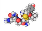 Seznamte se: molekula vasopresinu, jednoho z pilí partnerského vztahu.
