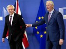 Britský vyjednava David Davis (vlevo) a éf unijního vyjednávacího týmu Michel...