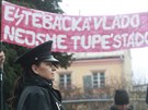 Na Andreje Babie ekala ped sídlem Libereckého kraje skupinka demonstrant...