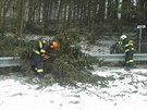 Hasie v Olomouckém kraji zamstnávaly hlavn popadané stromy. (17. bezna 2018)