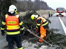 Hasie v Olomouckém kraji zamstnávaly hlavn popadané stromy. (17. bezna 2018)