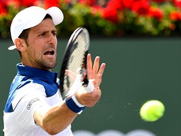 Novak Djokovi na turnaji v Indian Wells.