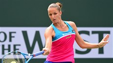 Karolína Plí�ková bude v Praze turnajovou jedni�kou
