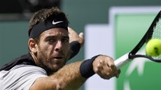 Juan Martin del Potro 