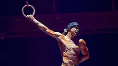 Akrobat Yann Arnaud z kanadského souboru Cirque du Soleil, který po pádu na...