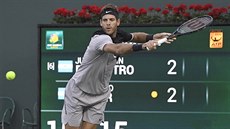 Argentinský tenista Juan Martín del Potro na turnaji v Indian Wells.