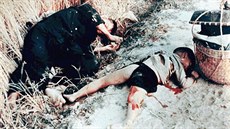 Pi masakru ve vietnamské vesnici My Lai amerití vojáci zavradili asi pt set...