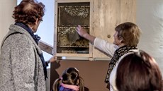 Výstava o včelách na pardubickém zámku potrvá do 23. září.