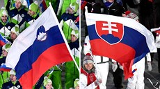 Slovinská a slovenská výprava sportovc pi zahajovacím ceremoniálu ZOH v...