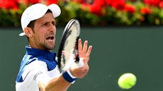 Novak Djokovi na turnaji v Indian Wells.