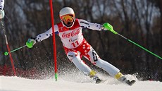 Patrik Hetmer na paralympijských hrách v Pchjongchangu.