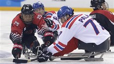 eský sledge hokejista David Palát a Japonec  Ejdi Misawa v souboji o puk.