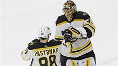 David Pastrák z Bostonu se raduje z brankáem Tuukkou Raskem z vítzství na...