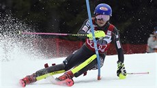 Americká lyaka Mikaela Shiffrinová na trati slalomu  v Ofterschwangu