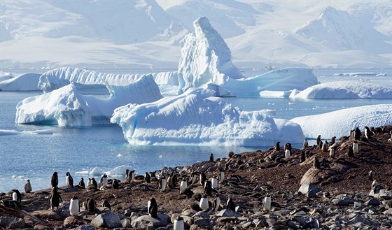 Na plavbu kolem Antarktidy se ron vypraví zhruba 50 ech. Ilustraní snímek