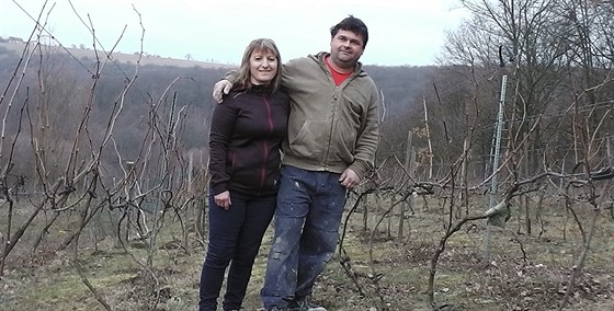 Petr Stavěl začal ve Velkém Ořechově obnovovat starou vinařskou tradici.
