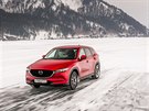 S Mazdou CX-5 pes zamrzlý Bajkal