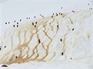 DO KOPC. Tuáci plhající na vrchol hory ostrova Danco na severu Antarktidy.