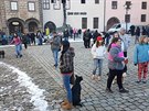 Hromadn venen ps jako demonstrace proti trn zvat