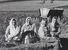 Petra Lukáová nala adu dokument a fotografií z historie své rodiny.