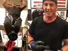 Sylvester Stallone trénuje a je sexy víc ne kdy pedtím