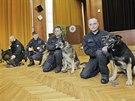 Čtveřice služebních policejních psů odchází do důchodu. Mezi nimi i Romer (v...