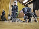 Čtveřice služebních policejních psů odchází do důchodu. Mezi nimi i Romer (v...