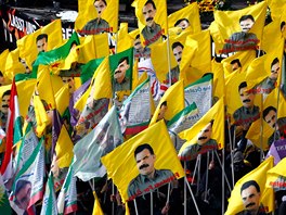 Hannover. Kurdská demonstrace proti turecké vojenské operaci v Afrínu (17....